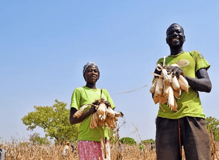 Community and Rural Development Projects