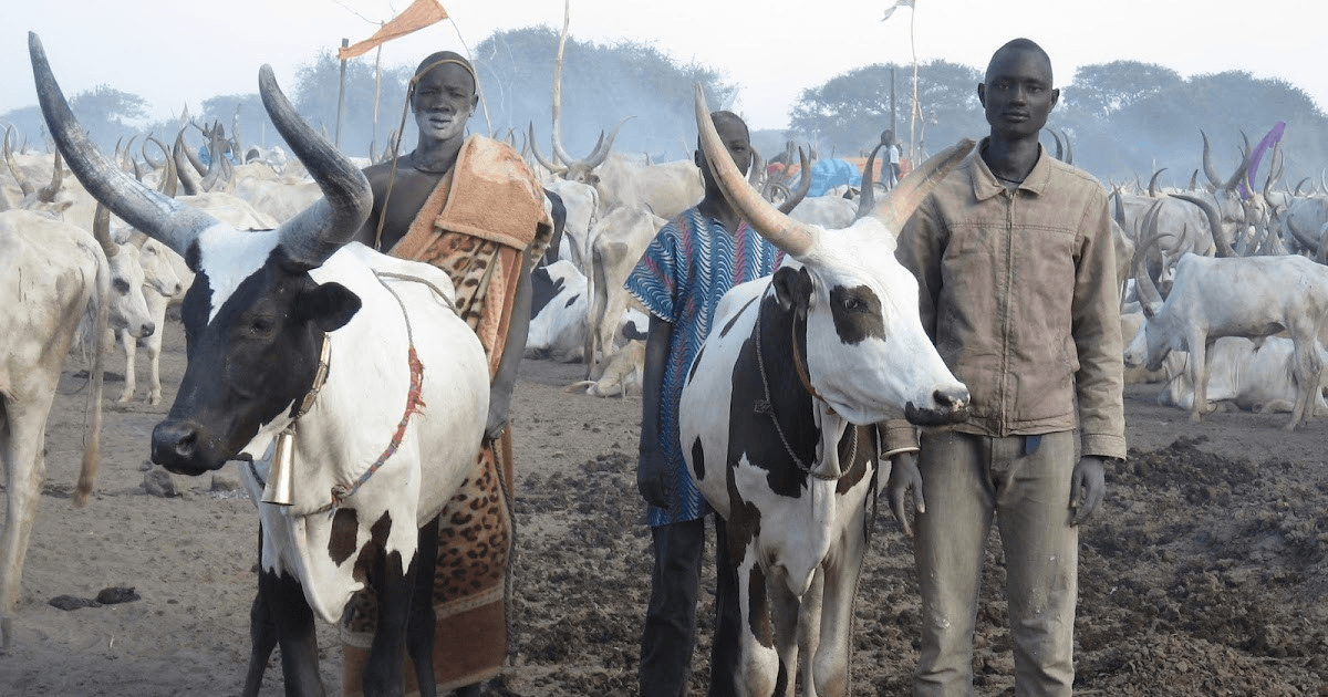 Pastoralism, Livestock Development and Animal Health: Practical Bootcamp