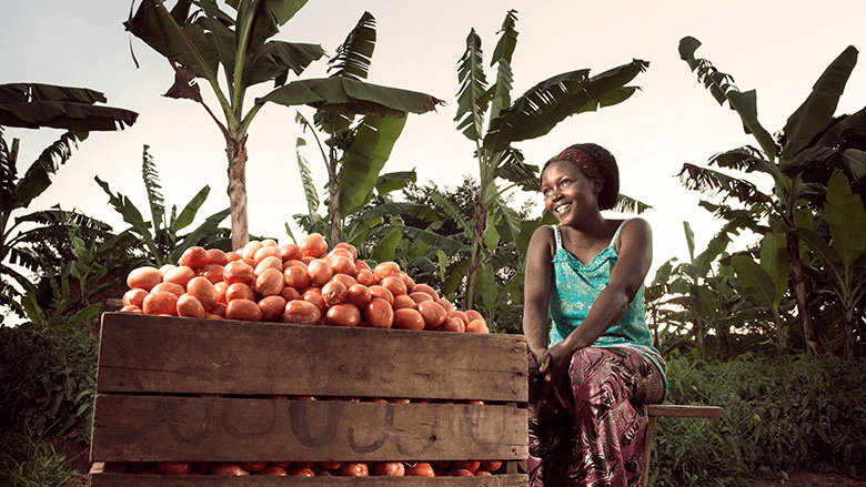 Agricultural Productivity and Competitiveness: Policy and Implementation Track