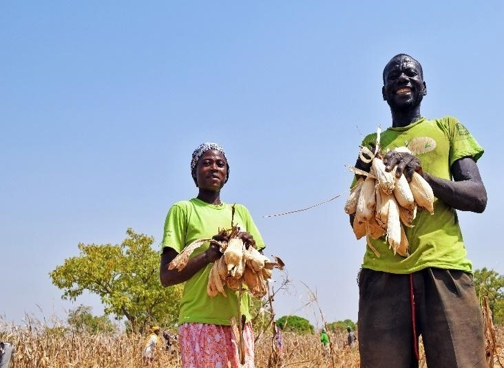Gender in Agriculture and Youth Employment
