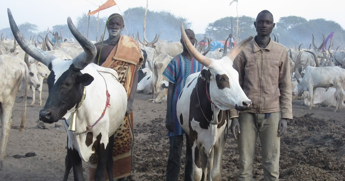 Pastoralism, Livestock Development and Animal Health