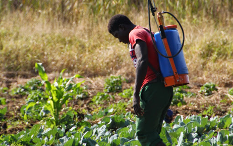 Pest Management, Plant Pest Control and SPS measures