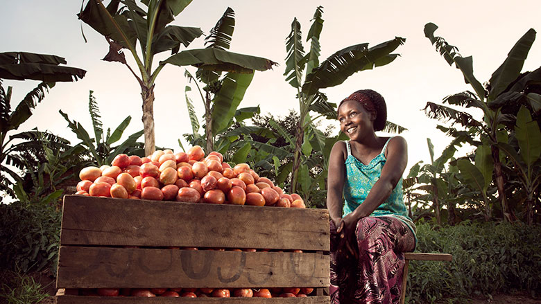Agricultural Productivity and Competitiveness: Policy and Implementation Track